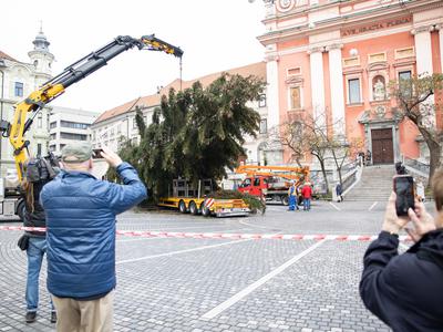 Na Prešernovem trgu že stoji letošnja praznična smreka