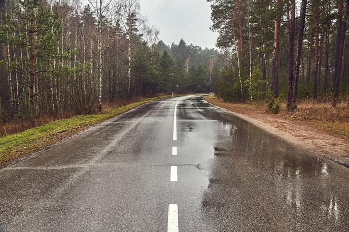 jesen, cesta, vožnja, varnost | Foto Shutterstock