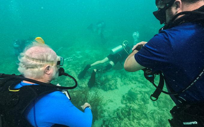Do osemdesetih let prejšnjega stoletja je bilo beljenje koral večinoma neznan pojav, danes pa je vse pogostejši. | Foto: Reuters