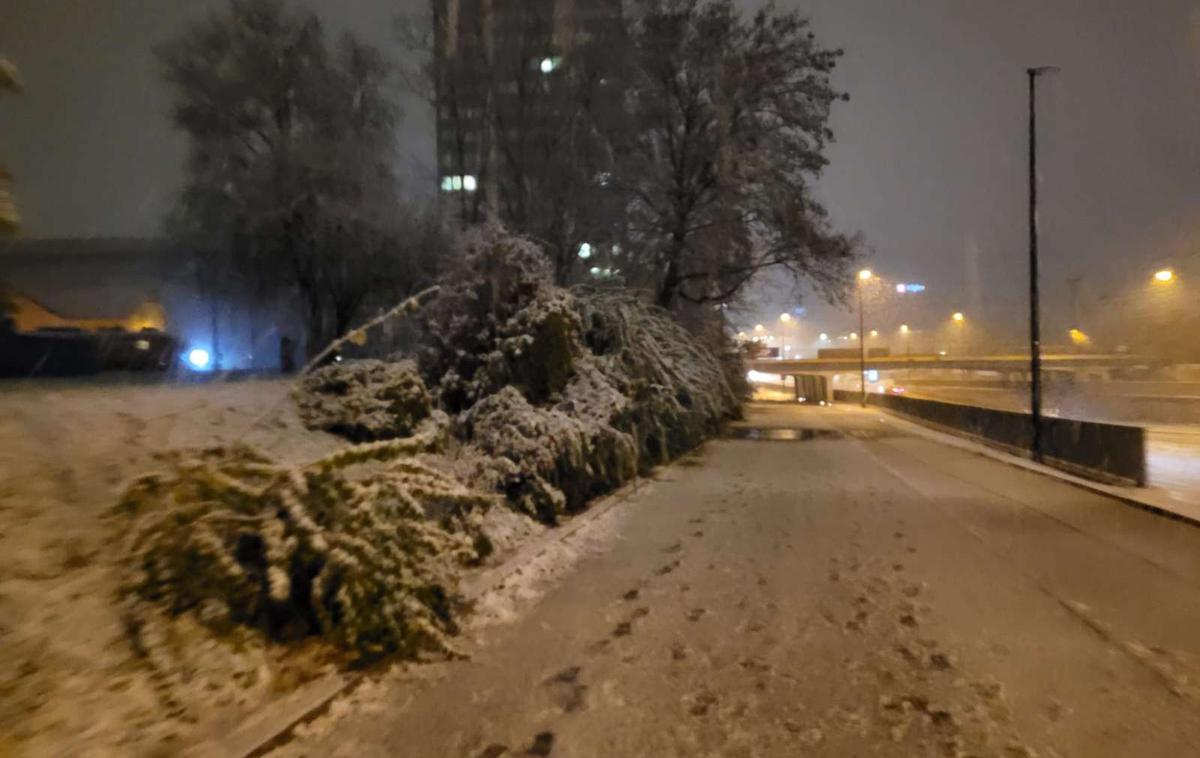 sneg, Ljubljana |  Sneženje se je spustilo do nižini, zajelo je tudi prestolnico. | Foto Mojca Zorko/STA