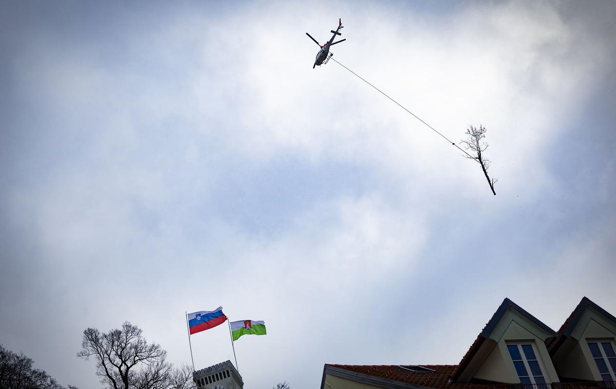 Helikopter spravilo lesa grajski grič | Razprave o preobsežni sečnji na družbenih omrežjih pa je komentiral z besedami, da je na tem mestu predviden naraven prirast dreves in ne sajenje novih dreves, ta del pobočja pa so že počistili. Dodal je, da bodo v času pilotiranja javnosti še enkrat predstavili potek del. "Če bo treba, bomo povabili še zavod za varstvo narave in zavod za gozdove," je zaključil Janković. | Foto Ana Kovač