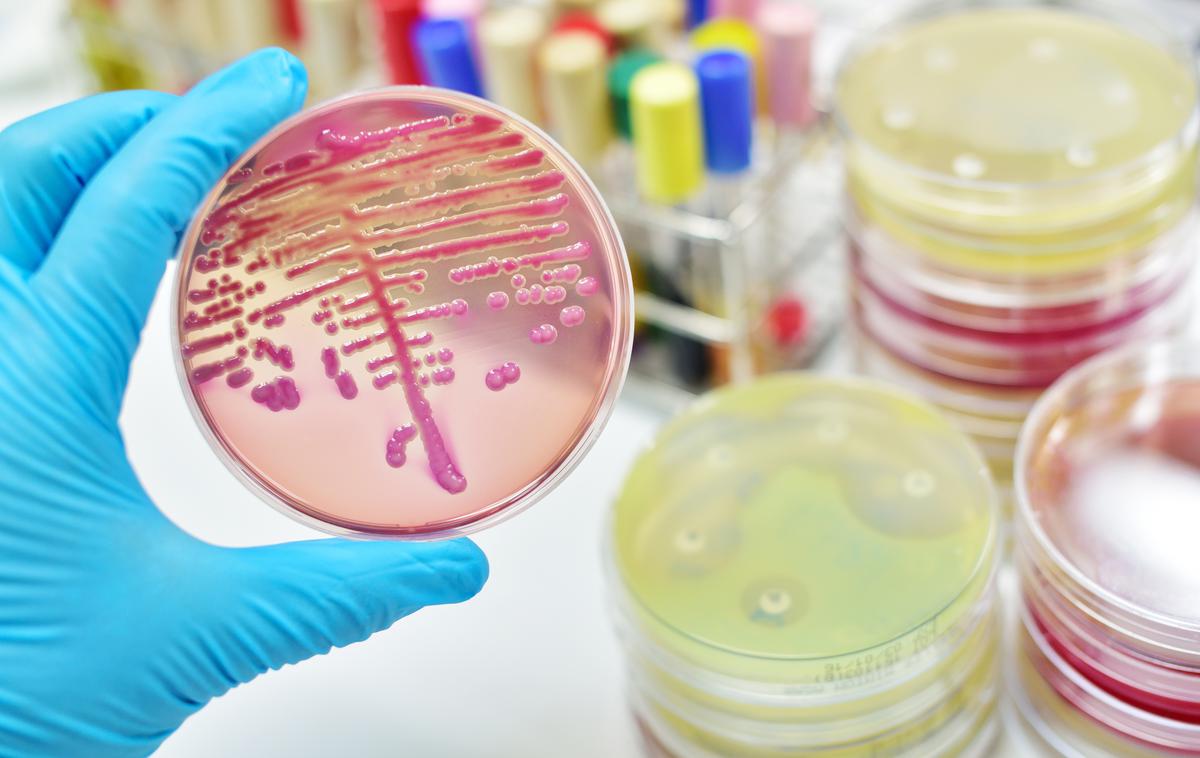 bakterije zdravila laboratorij | Antibiotiki so nas rešili posledic številnih bakterijskih okužb, a bakterije razvijajo odpornost pred njimi. | Foto Getty Images