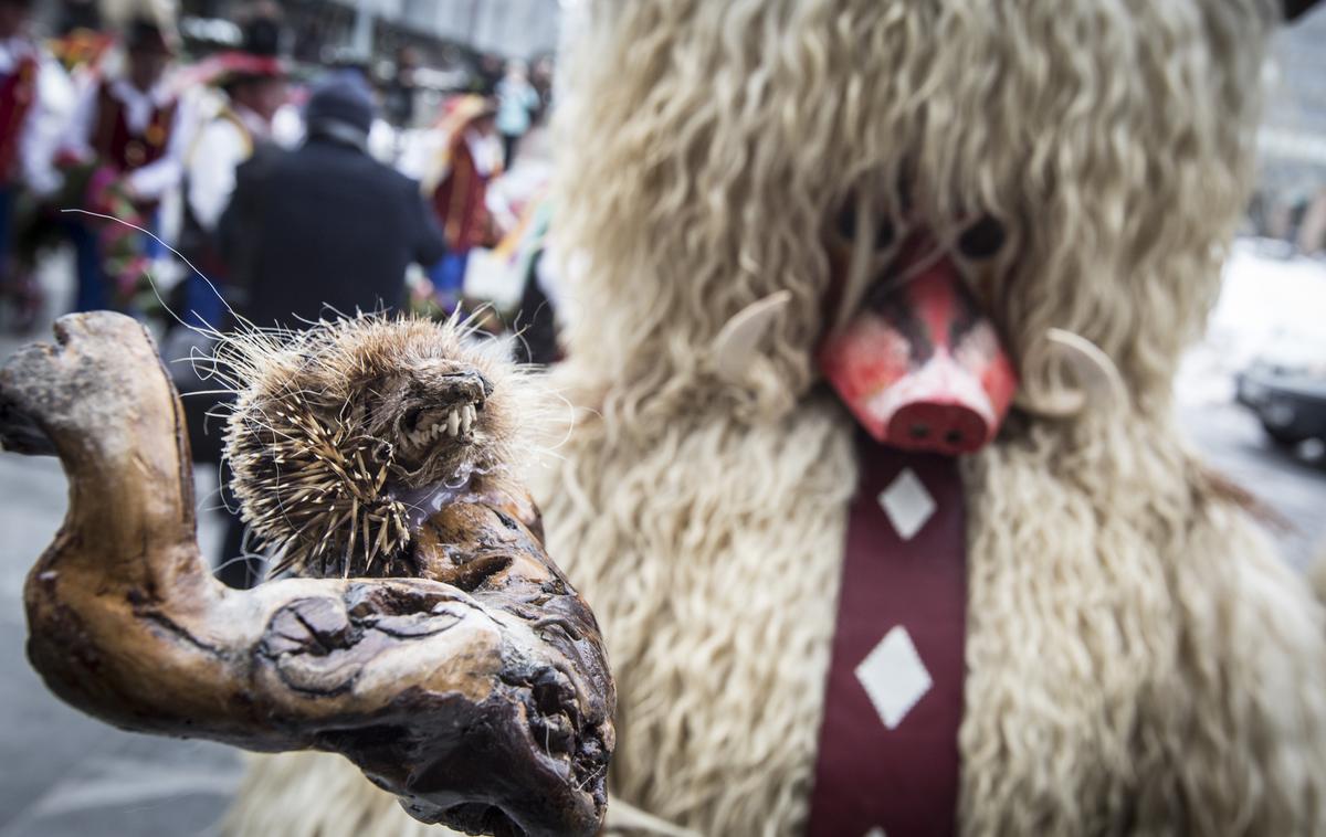 Kurenti | Ptujske ulice in trge bo po letos zaradi prenove mestne tržnice nekoliko spremenjeni trasi preplavila večtisočglava množica pustnih mask in tradicionalnih likov. | Foto Bojan Puhek
