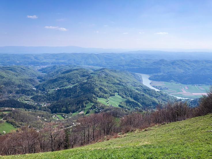 Lisca razgled | Foto: Shutterstock