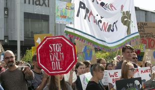 Več kot tisoč mladih v Ljubljani zahtevalo razglasitev podnebne krize #foto #video