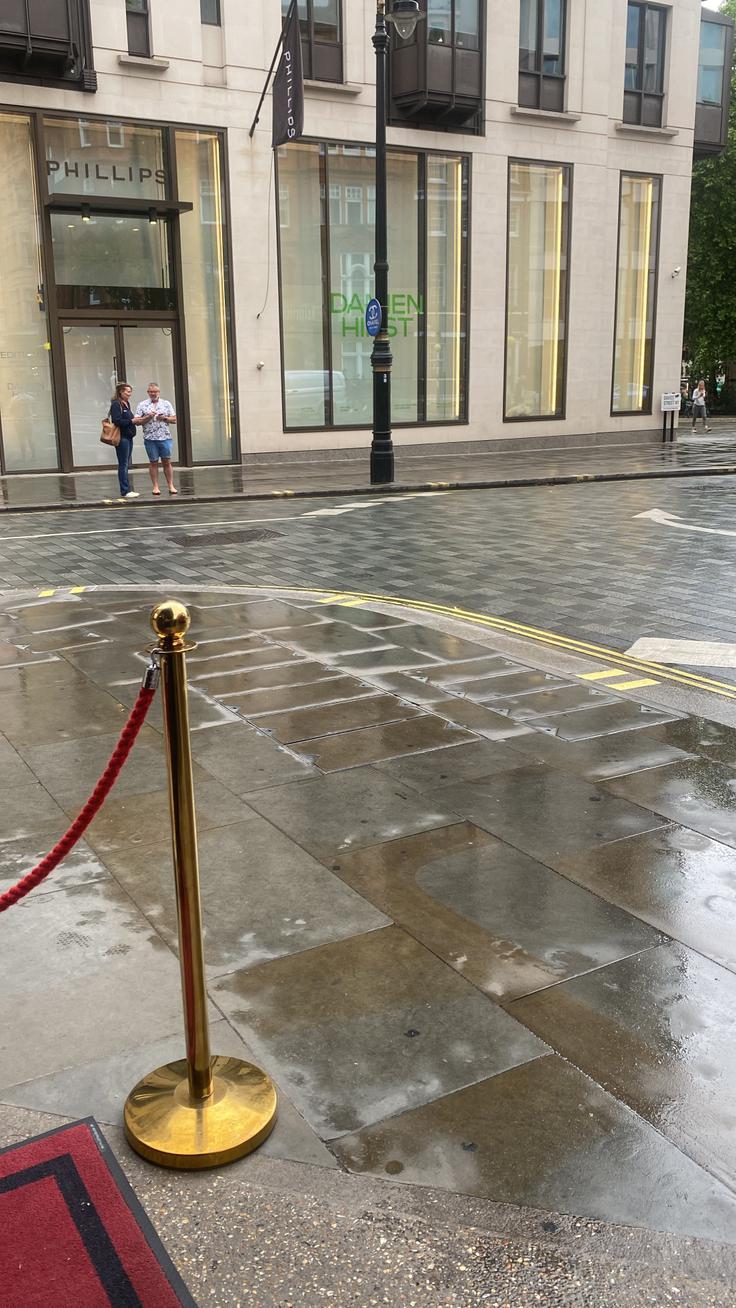 5. junija bi bila na dražbi dela Damiena Hirsta.  | Foto: Siol.net