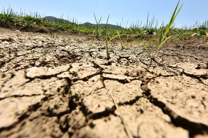 Suša | "Razmere ostajajo neugodne zaradi dolgotrajnega sušnega obdobja na začetku in podpovprečnih količin padavin skozi celotno obdobje," pravijo na Arsu.  | Foto STA