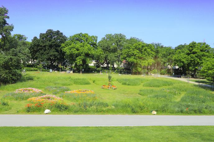 Travniško pokopališče, Dunaj | Foto Friedhöfe Wien