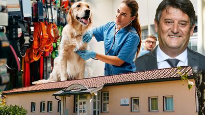 Kateri veterinarji so lani zaslužili največ?