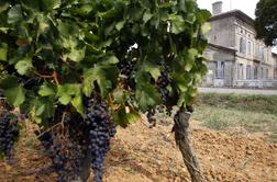 Bordojske vinske znamke so še vedno najmočnejše