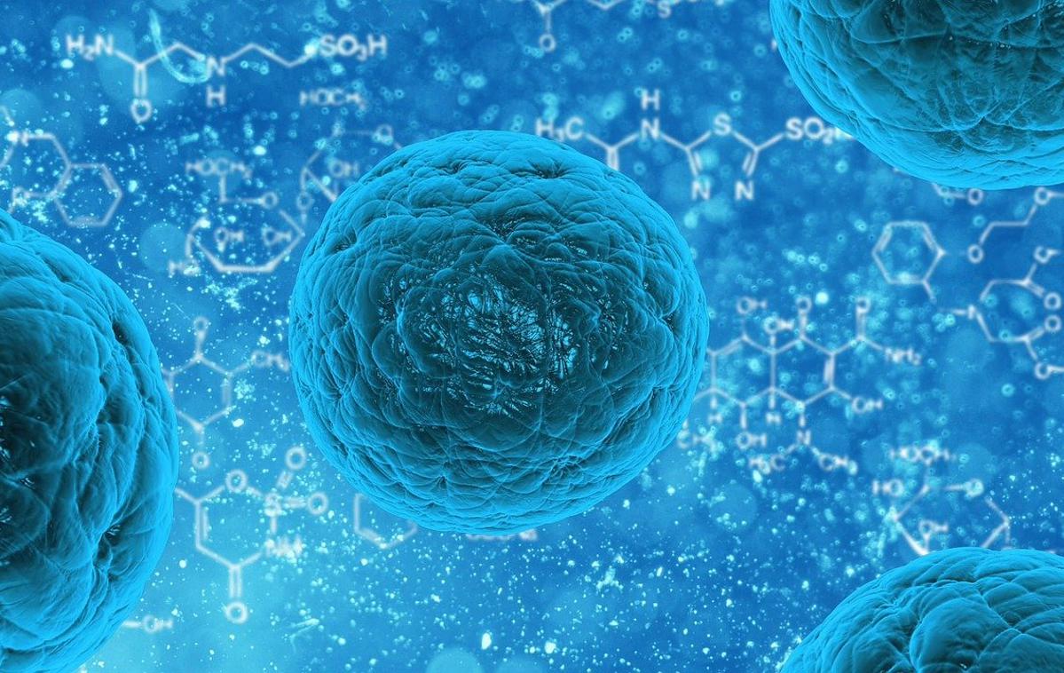 Virus, bakterije | Odporne bakterije naj bi po navedbah poročila WHO letno neposredno povzročile več kot milijon smrtnih žrtev. | Foto Pixabay