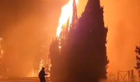 Zaradi napadov iz Libanona v Izraelu izbruhnili obsežni požari