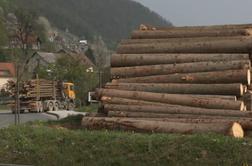 Trgovec z lesom slovenska podjetja ogoljufal za 350 tisočakov #video