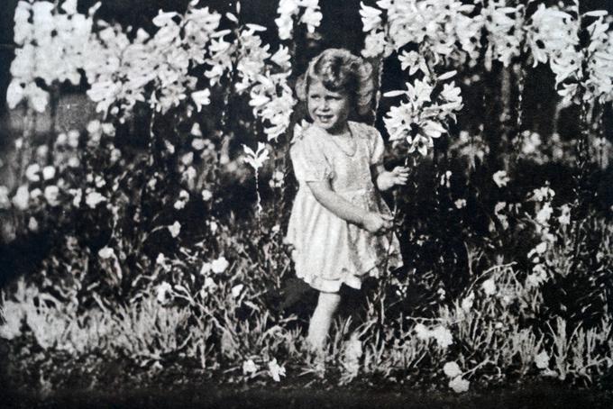 Na fotografiji je mlada kraljica Elizabeta II. med igranjem med cvetlicami. Kraljica Elizabeta II. se je rodila 21. aprila 1926 in je starejša sestra princese Margarete, ki je živela med letoma 1930 in 2002. | Foto: Guliverimage/Vladimir Fedorenko