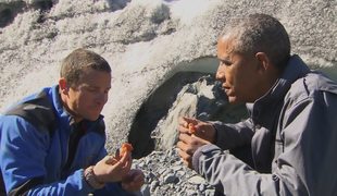 Obama pojedel ostanke medvedove malice