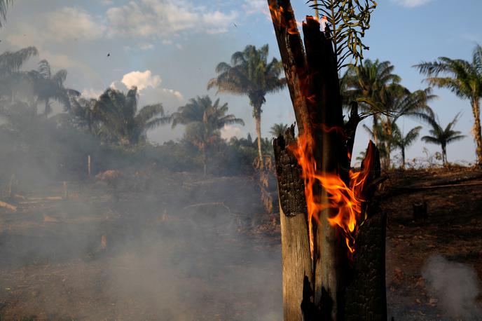 Amazonski pragozd, Amazonija, požar, gozdni požar | Brazilski predsednik Bolsonaro je v luči požarov v Amazoniji podpisal dekret, s katerim je za dva meseca prepovedal vsakršno kurjenje v naravi. | Foto Reuters