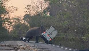 Tako je slon obračunal z voznikom, ki se mu ni hotel umakniti #foto