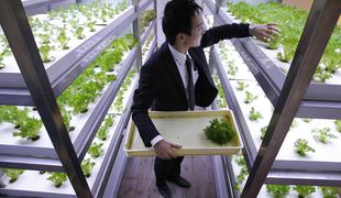 Kakšen je vpliv "rastlinojedih" Japoncev na demografsko krizo