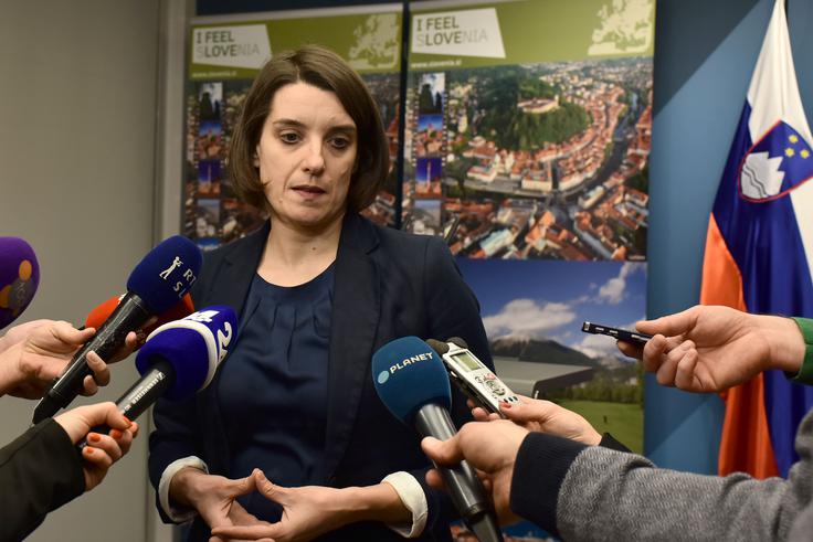 Kustec Lipicer | Foto: STA ,