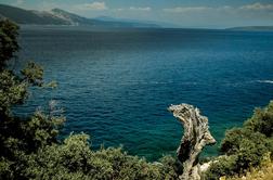 Kdo bo črpal plin v Jadranskem morju