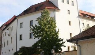 Grofje Celjski so se končno vrnili domov