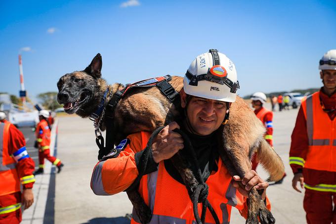 Član salvadorske ekipe za iskanje in reševanje v mestih (USAR) z reševalnim psom pred vkrcavanjem na letalo, da bi pomagali pri odpravljanju posledic potresa v Turčiji.  | Foto: Reuters