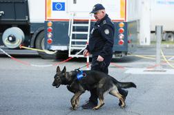 Slovenka na mejo prišla s tremi otroki, 22 kilogrami kokaina in pištolama