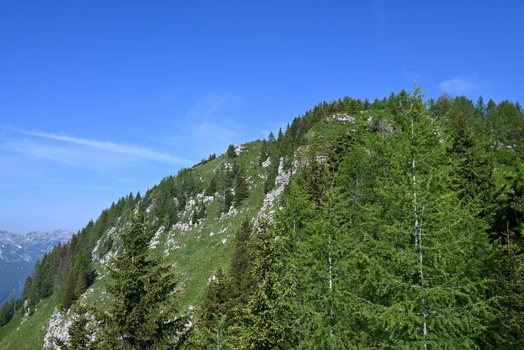 Pogled proti vrhu Pršivca | Foto: Matej Podgoršek