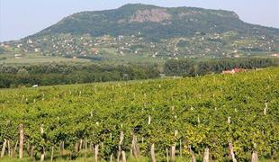 Badacsony: z vinogradniških gričev v podzemno jezero