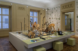 Prirodoslovni muzej v avstrijskem Gradcu z novo stalno zbirko