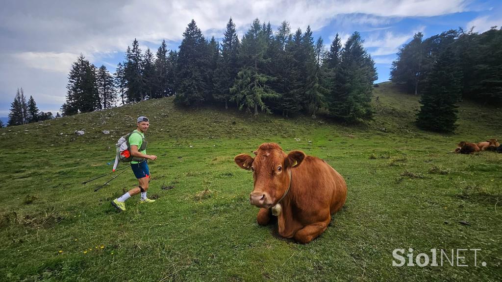 Žiga Papež, šesti dan