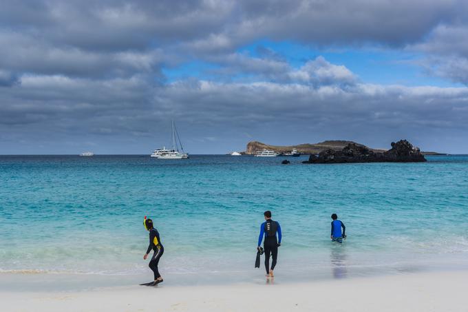 Med potovanjem z ladjo Beagle je Darwin obiskal tudi Galapaško otočje v Tihem oceanu. Njegovo raziskovanje živalskih vrst na otočju, ki je zdaj zelo priljubljeno med turisti, je imelo zelo pomembno vlogo pri oblikovanju njegove teorije naravnega izbora. | Foto: Guliverimage/Vladimir Fedorenko