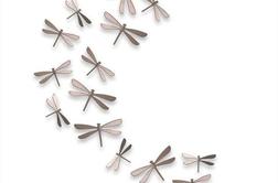 Ideja za dom: Kačji pastirji na steni