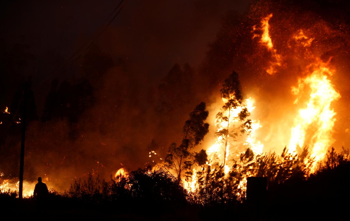 Portugalska, požar, gasilci | Foto Reuters
