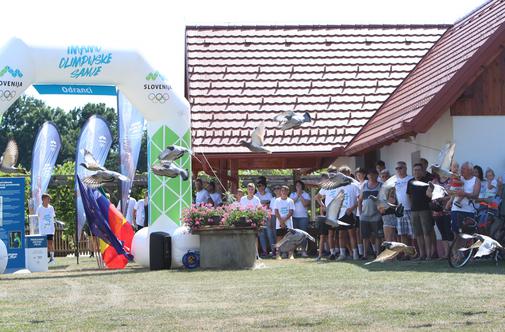 Štorklje nadomestili golobi pismonoše