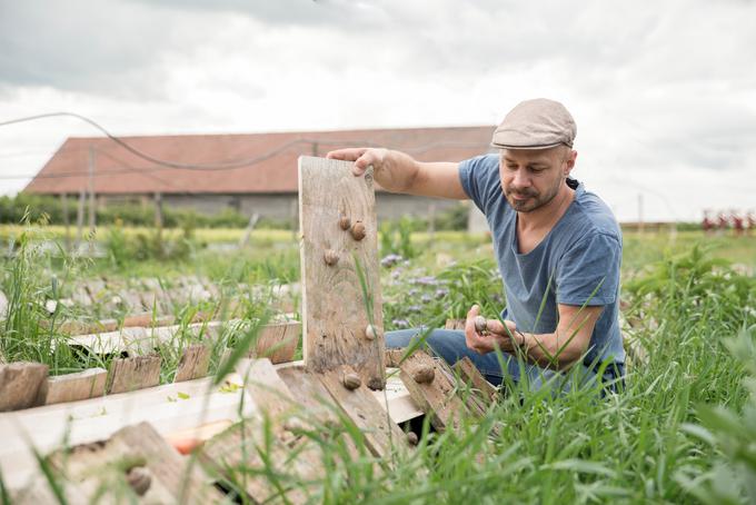 Andreas Gugumuck, ki je svojo 400 let staro kmetijo spremenil v polžjo farmo, je leta 2012 prejel evropsko nagrado za inovativne mlade kmetovalce. Danes se poleg gojenja polžev ukvarja še z njihovo predelavo ter z njimi oskrbuje številne restavracije. | Foto: Karin Nussbaumer