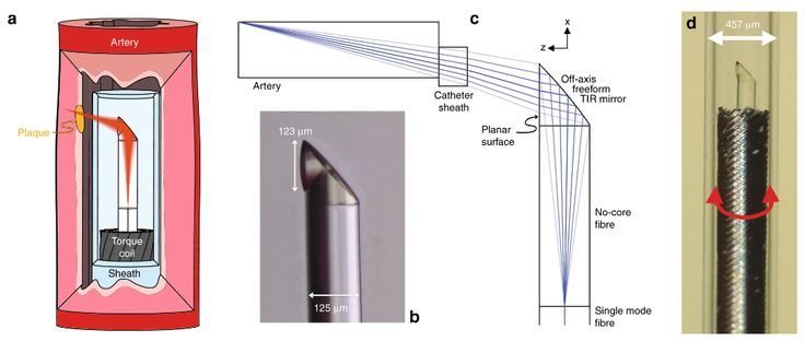 Struktura nove naprave za snemanje razmer v žilah, a tudi v drugih ozkih in težko dostopnih delih telesa | Foto: University of Adelaide