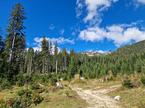 pohod Mrežce Pokljuka