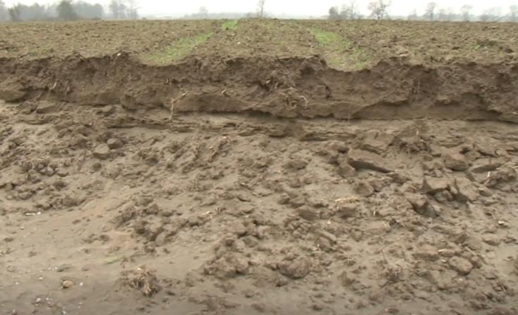 Drava poplave | Foto: Planet TV