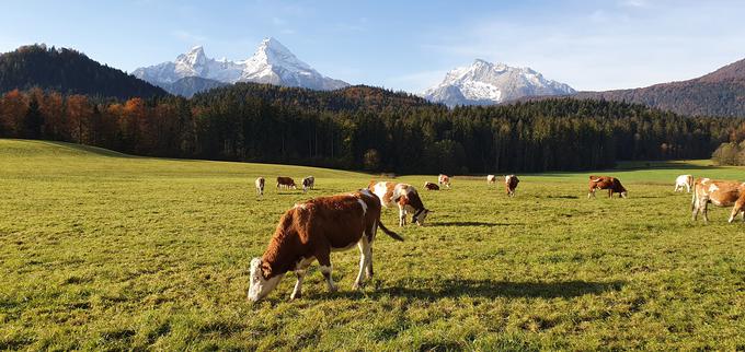 Vznožje in pobočje Watzmanna © BGLT | Foto: Watzmann