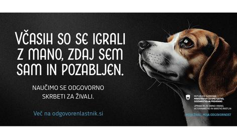 Žival ni darilo, ampak odgovornost