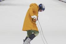 Hirscher