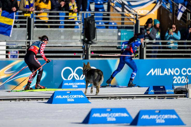 smučarski tek, ZOI | Foto: Guliverimage