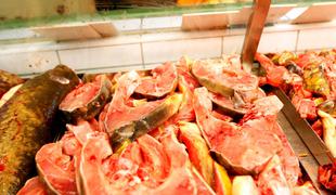 Kotlete morskega psa proizvajalca Safricope umikajo iz prodaje