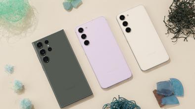 6 top poletnih aktivnosti na prostem za pse in njihove lastnike