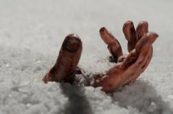 Ledena past (Frozen)