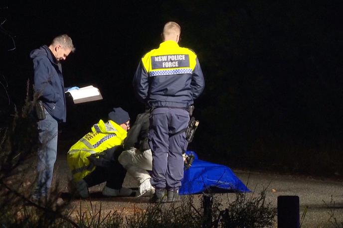 Preiskava umora | Policija je primer obravnavala kot umor ter zato ustanovila posebno enoto detektivov za umore in forenzičnih strokovnjakov.  | Foto Guliverimage