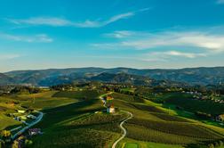 Bivanje med vinogradi: preplet večstoletne tradicije in sodobnosti