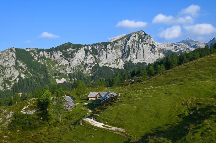 planina Krstenica | Pravi planinski balkon! Planina Krstenica in za njo dvatisočak Ogradi. | Foto Matej Podgoršek