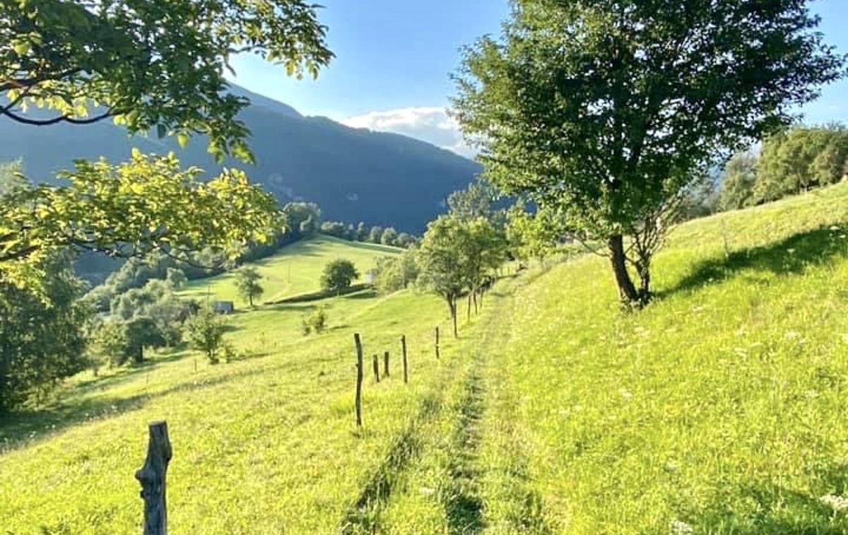 Juliana Trail 7  Travniška pot tik pred vasico Temljine v Baški grapi. | Foto Urška Uranjek